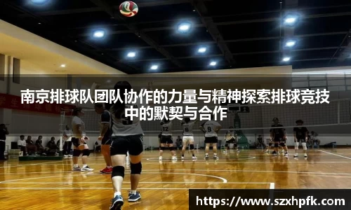 南京排球队团队协作的力量与精神探索排球竞技中的默契与合作