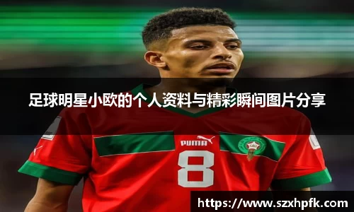 足球明星小欧的个人资料与精彩瞬间图片分享
